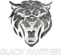 The Panther Black
